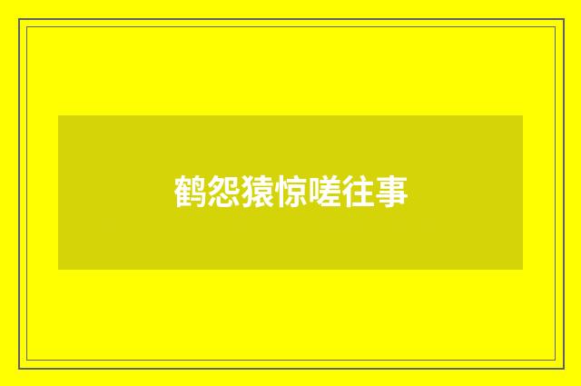 鹤怨猿惊嗟往事