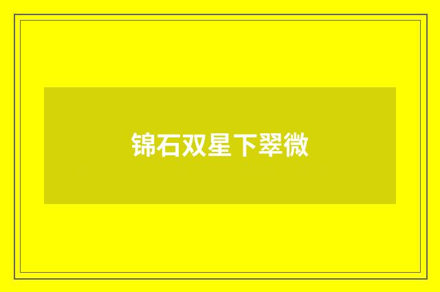 锦石双星下翠微