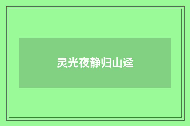 灵光夜静归山迳