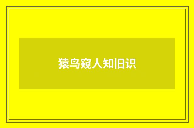 猿鸟窥人知旧识