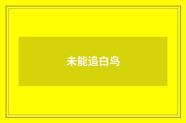 未能追白鸟