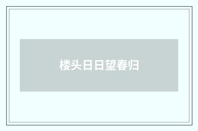 楼头日日望春归