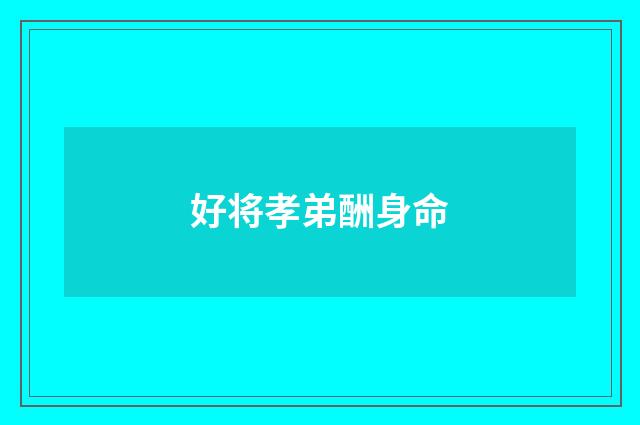 好将孝弟酬身命