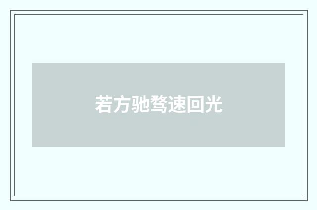 若方驰骛速回光