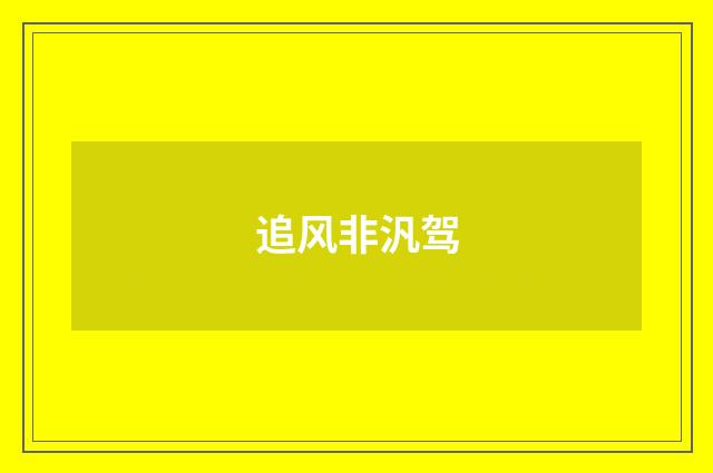 追风非汎驾