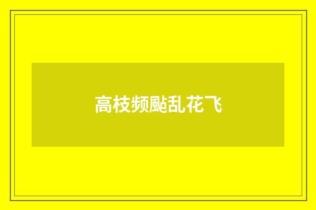 高枝频颭乱花飞