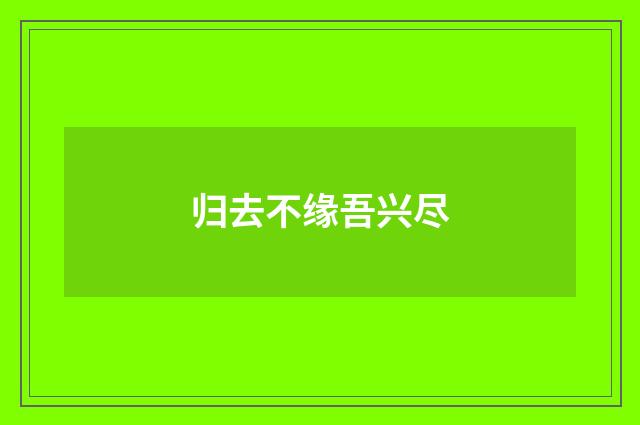 归去不缘吾兴尽