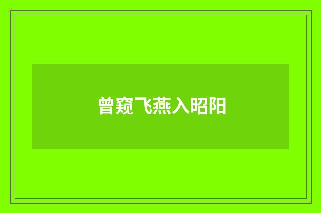 曾窥飞燕入昭阳