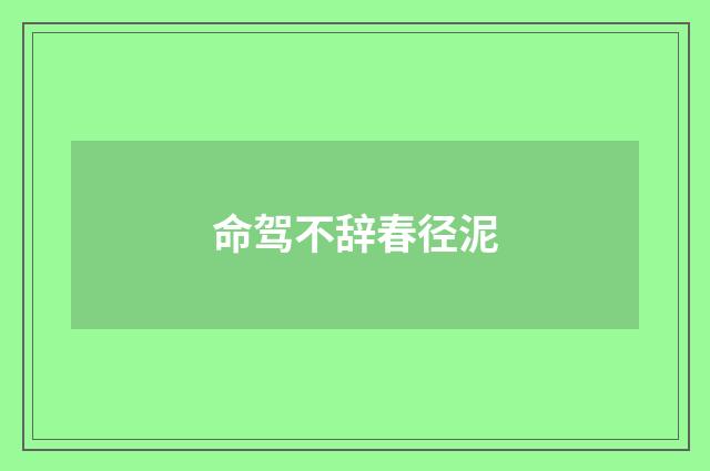 命驾不辞春径泥