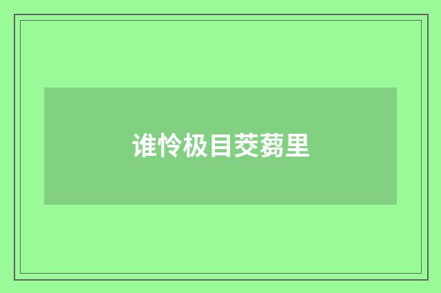 谁怜极目茭蒭里