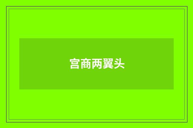 宫商两翼头