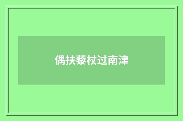 偶扶藜杖过南津