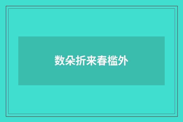 数朵折来春槛外