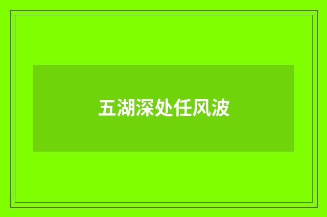 五湖深处任风波