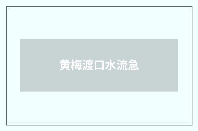 黄梅渡口水流急