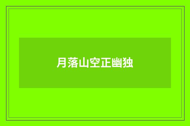 月落山空正幽独