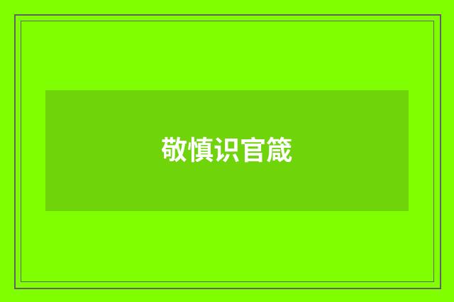 敬慎识官箴