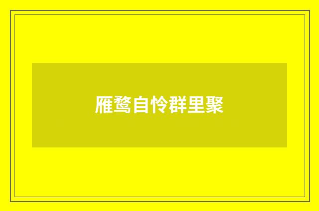 雁鹜自怜群里聚