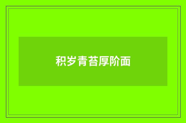 积岁青苔厚阶面