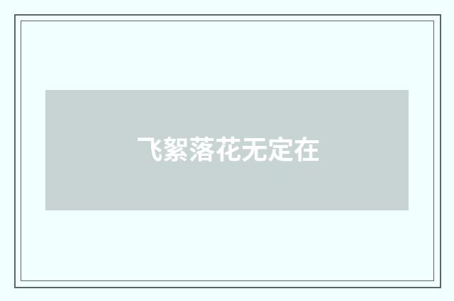 飞絮落花无定在