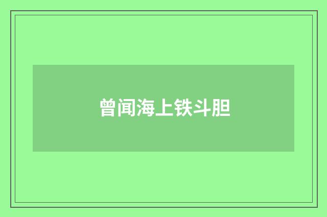 曾闻海上铁斗胆
