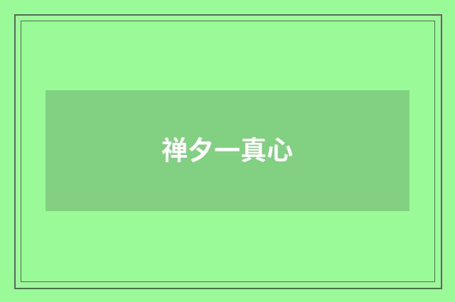 禅夕一真心