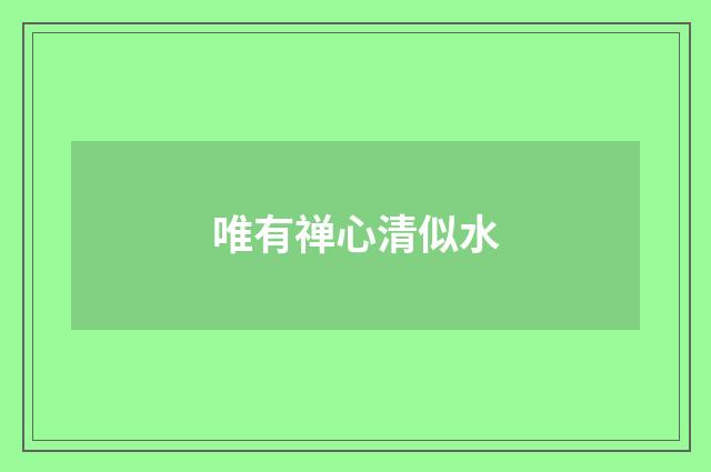 唯有禅心清似水