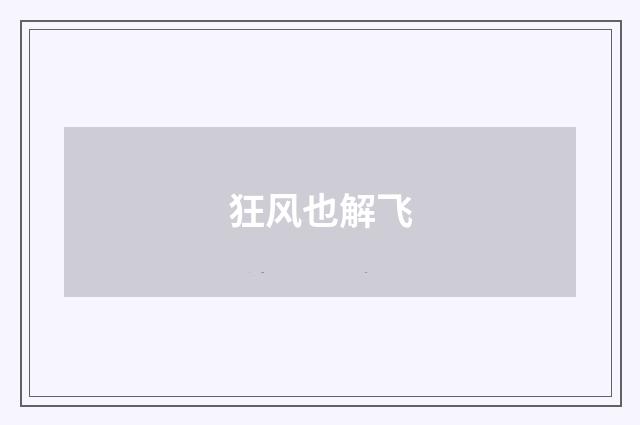 狂风也解飞