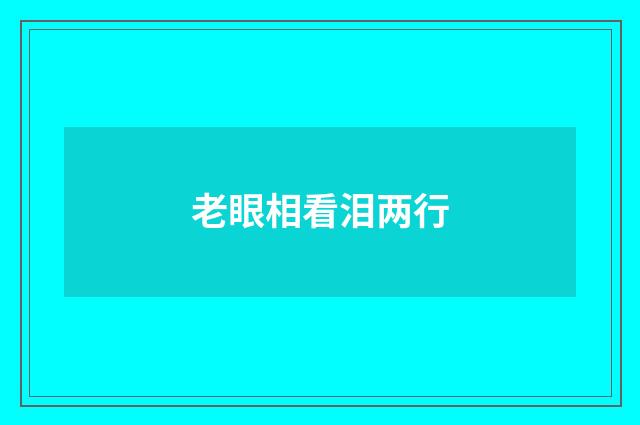 老眼相看泪两行
