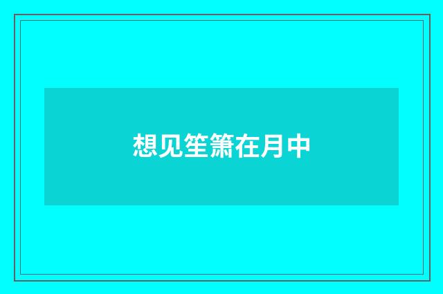 想见笙箫在月中