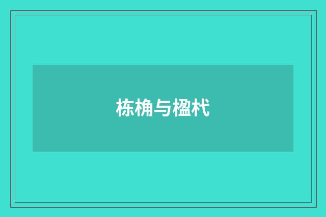 栋桷与楹杙