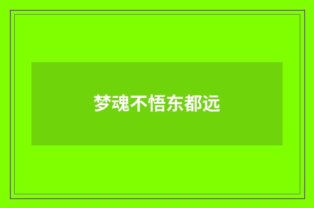 梦魂不悟东都远