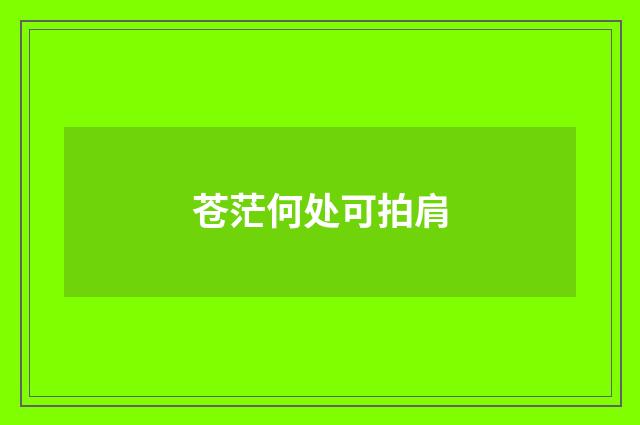 苍茫何处可拍肩