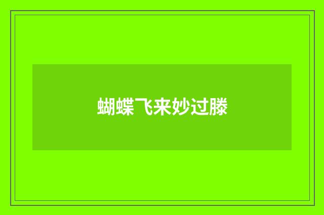 蝴蝶飞来妙过滕