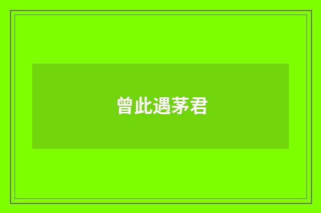 曾此遇茅君