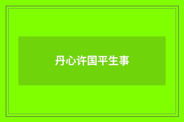 丹心许国平生事