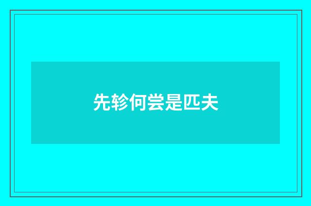 先轸何尝是匹夫