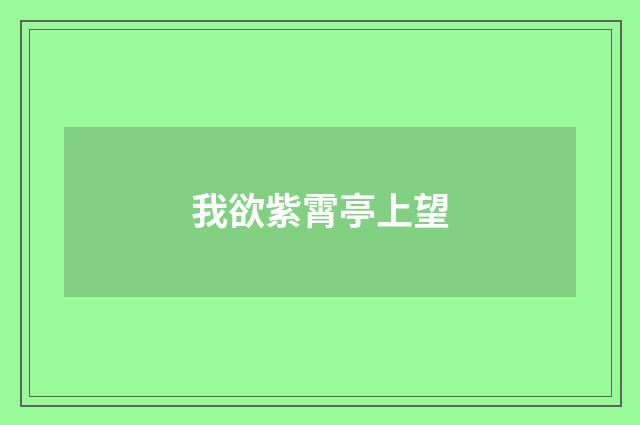 我欲紫霄亭上望