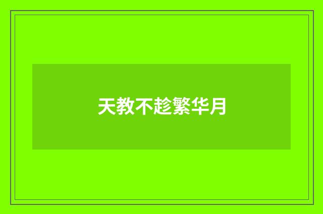 天教不趁繁华月