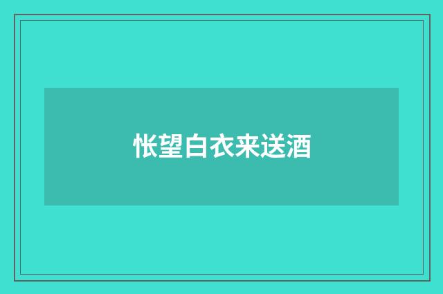 怅望白衣来送酒
