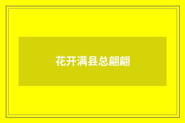 花开满县总翩翩