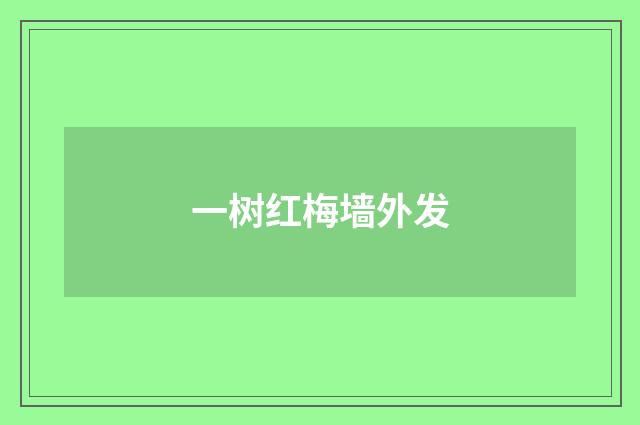 一树红梅墙外发
