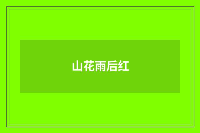 山花雨后红