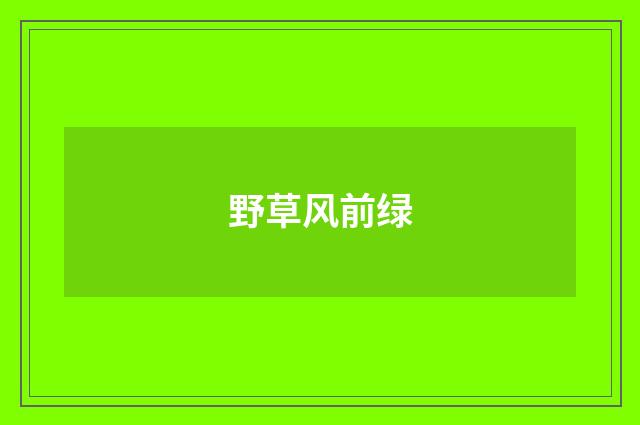野草风前绿