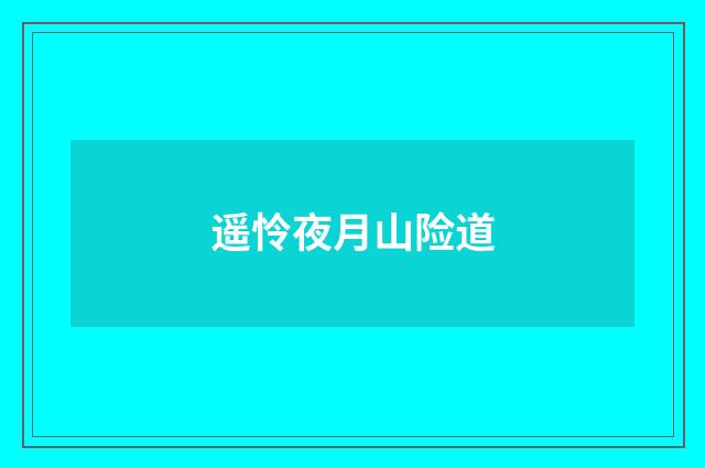 遥怜夜月山险道