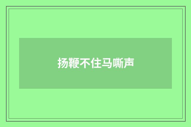 扬鞭不住马嘶声