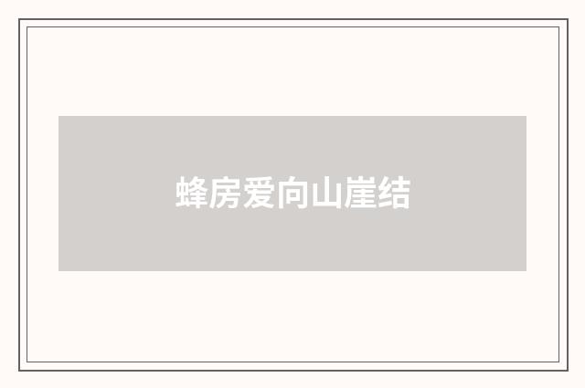 蜂房爱向山崖结