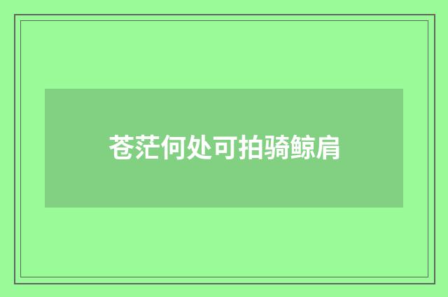 苍茫何处可拍骑鲸肩