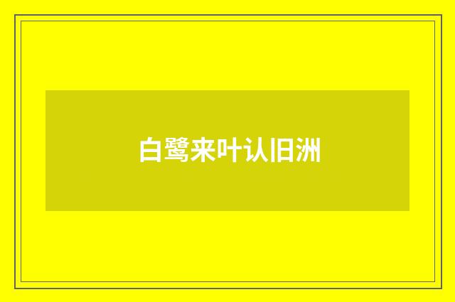 白鹭来叶认旧洲