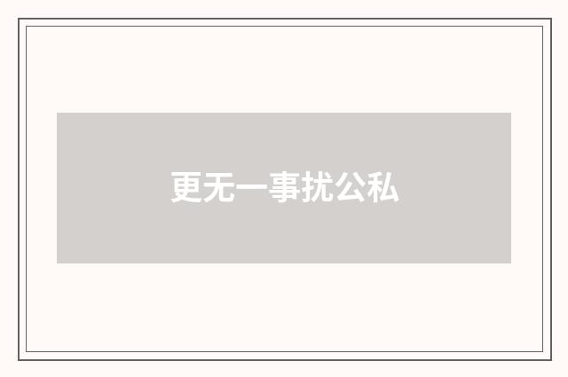 更无一事扰公私